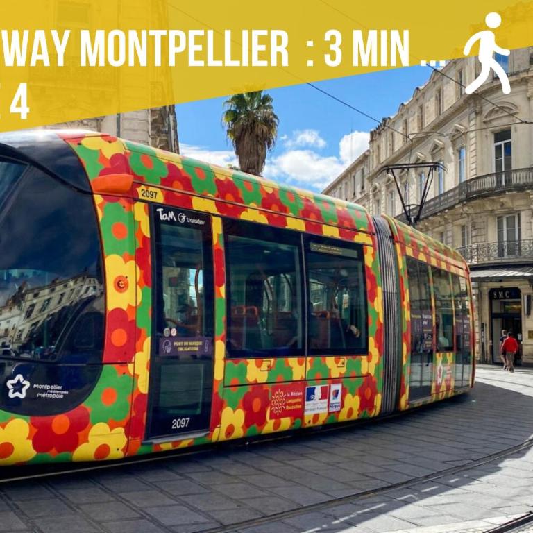 ALMA F2 hypercentre 1min cathédrale saint Pierre 3 min Tram Charme ancien & confort moderne Netflix - One-Bedroom Apartment - 18