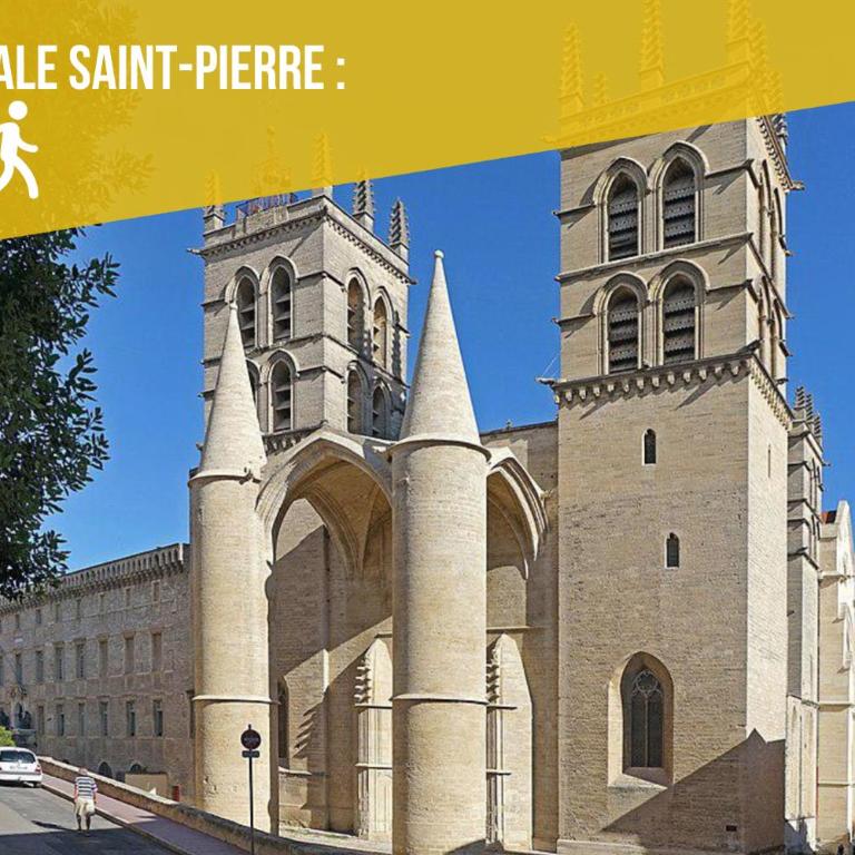 ALMA F2 hypercentre 1min cathédrale saint Pierre 3 min Tram Charme ancien & confort moderne Netflix - One-Bedroom Apartment - 20