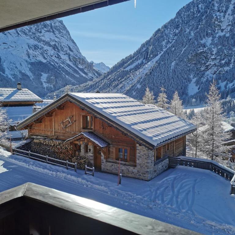 Appartement à la montagne - Appartamento con 2 Camere da Letto - 16