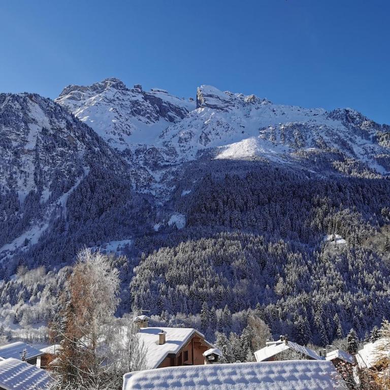 Appartement à la montagne - Appartamento con 2 Camere da Letto - 18