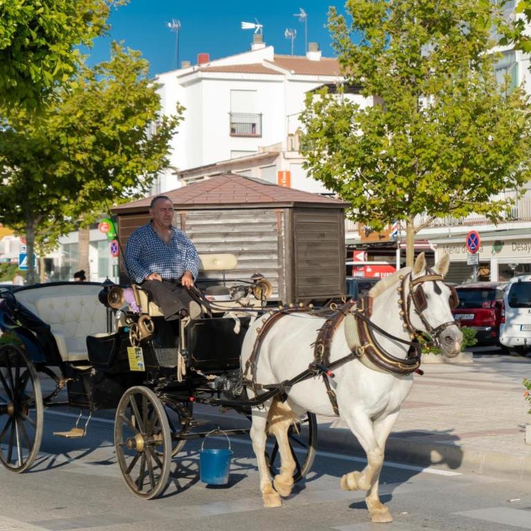 Antequera 49 - Casa - 15