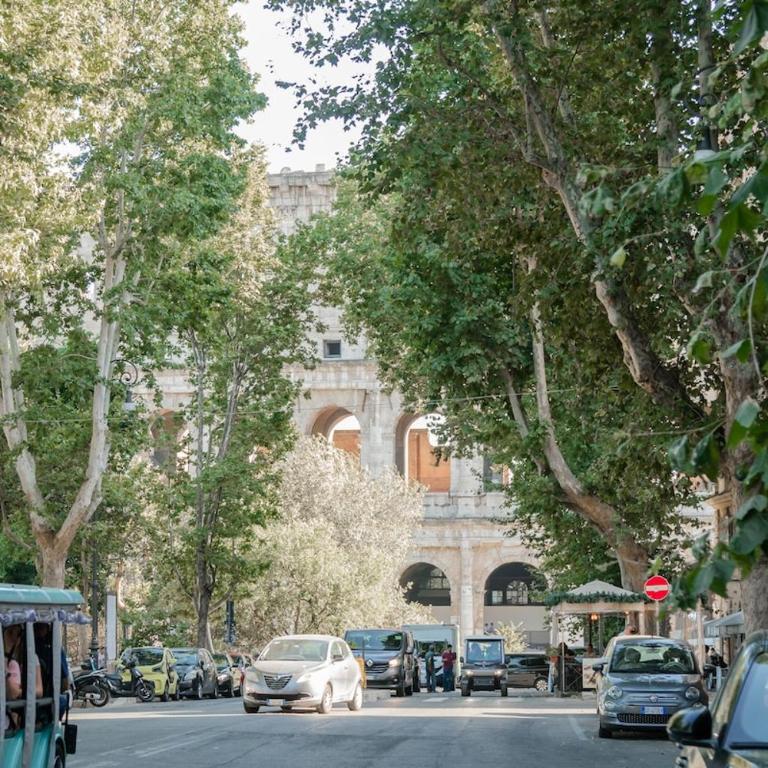Domus Aura - Appartamento - 59