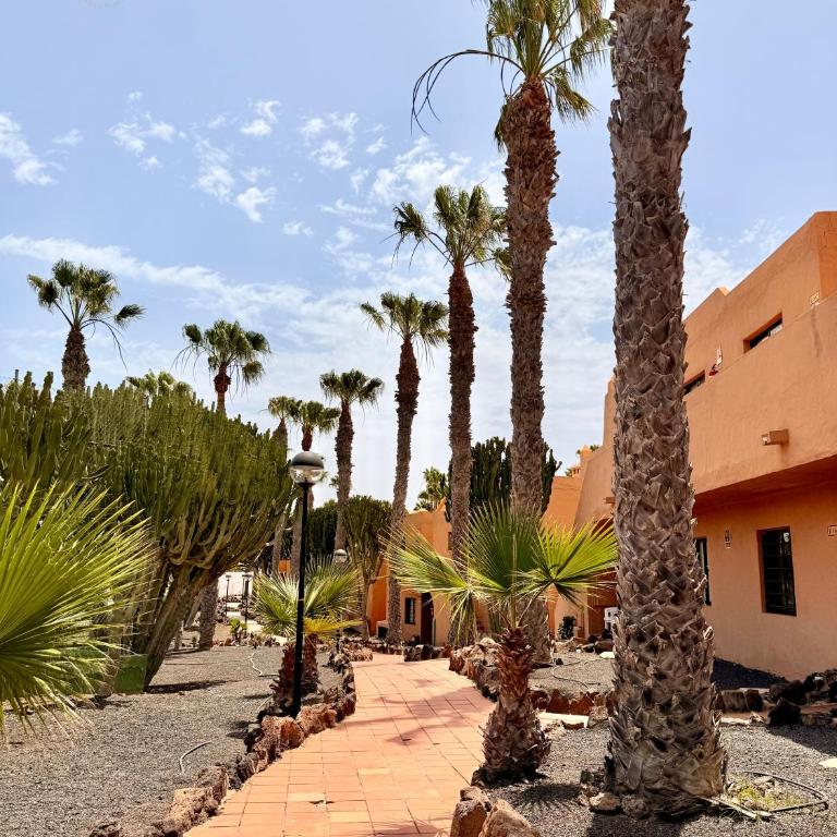 Oasis Dunas Family Sweet Home Deluxe- by B-Rent - Apartamento de 1 dormitorio con terraza - 31