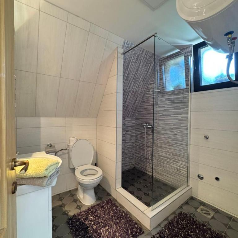 Apartmani Gocki Raj 2024 Vrnjačka Banja - Apartman sa 1 Spavaćom Sobom - 17