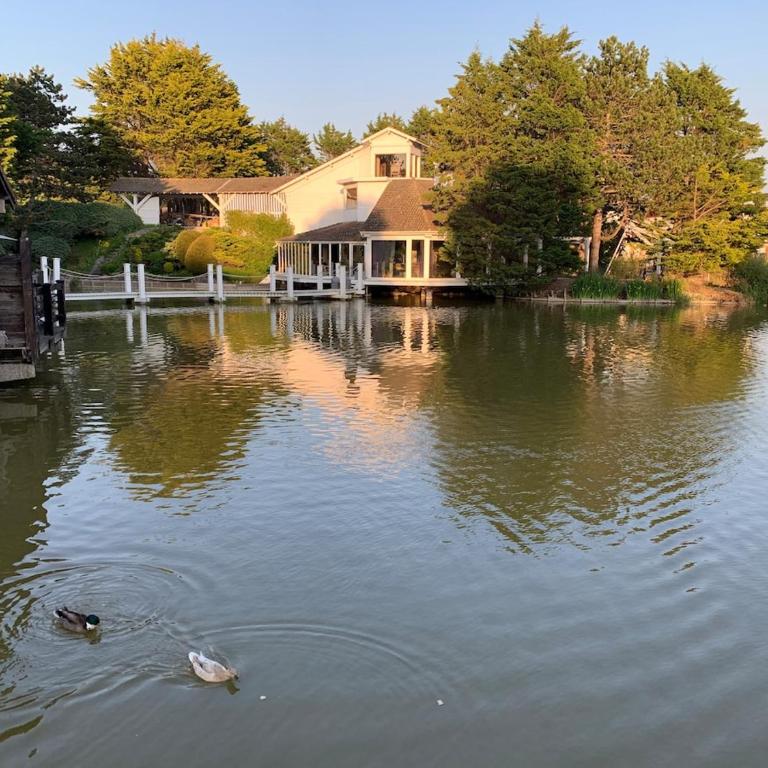 Large lakeside house - Mayvillage - Maison 4 Chambres - 1