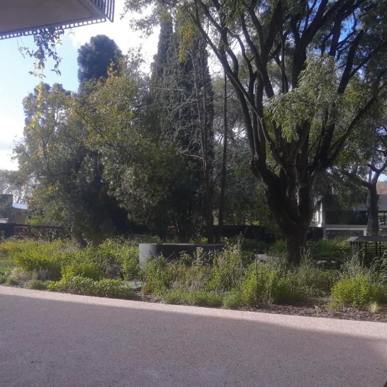 CasaOlivos - Apartamento de 1 dormitorio - 48