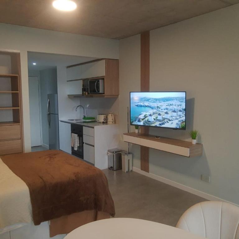 CasaOlivos - Apartamento de 1 dormitorio - 16