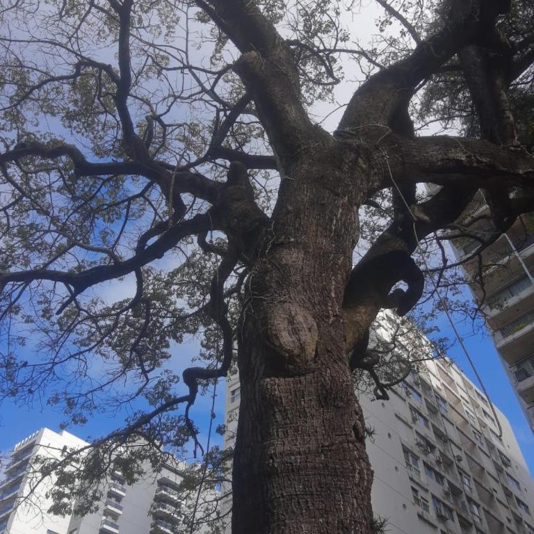 CasaOlivos - Apartamento de 1 dormitorio - 57