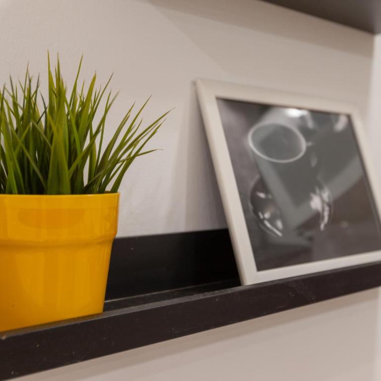 Los Maite Apartment Beach - One-Bedroom Apartment - 16