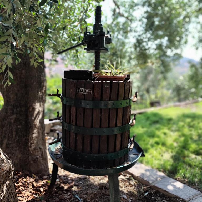 Almarea, a house between the sea and olive trees - Appartamento con 1 Camera da Letto - 42