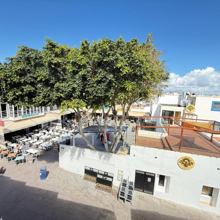 Casa Andromeda - Apartamento de 3 dormitorios - Planta Alta - 34