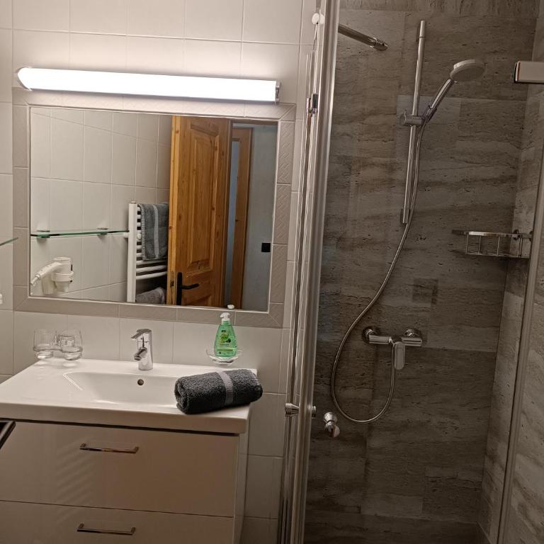 Appartements Fossa - One-Bedroom Apartment with Balcony - 9