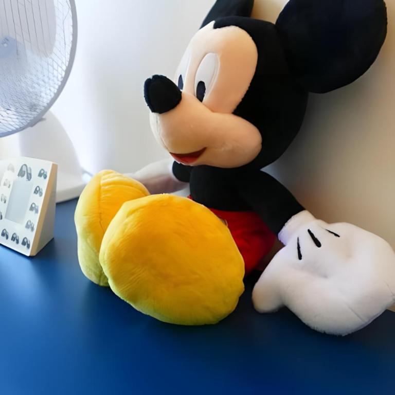 Disneyland Paris, appartement 70m², parking privé - Apartment mit 2 Schlafzimmern - 25