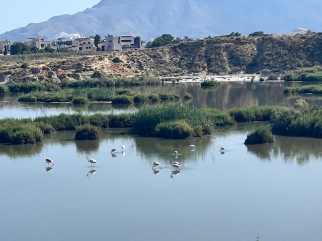 Casa de Federico con vistas al mar en Vera Playa - Apartamento de 2 dormitorios - 41
