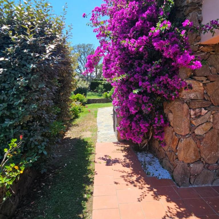 San Teodoro Beach Villa 86b - Villa con 2 Camere da Letto - 3