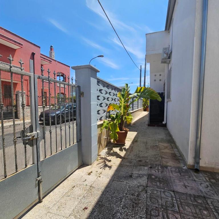 Daisy House - Three-Bedroom Superior Apartment - 9