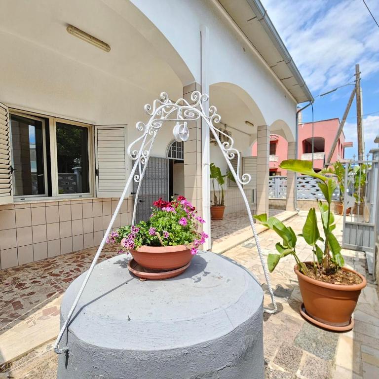 Daisy House - Three-Bedroom Superior Apartment - 1
