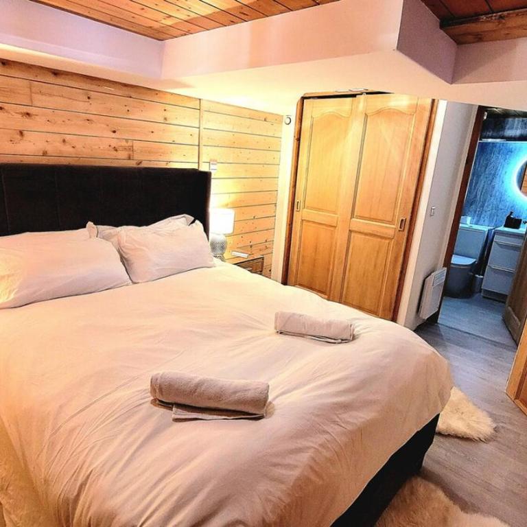 Ski in Ski out MNT Direct piste access - Appartement - 3