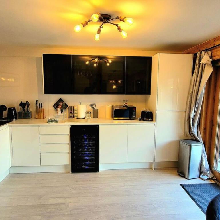Ski in Ski out MNT Direct piste access - Appartement - 5