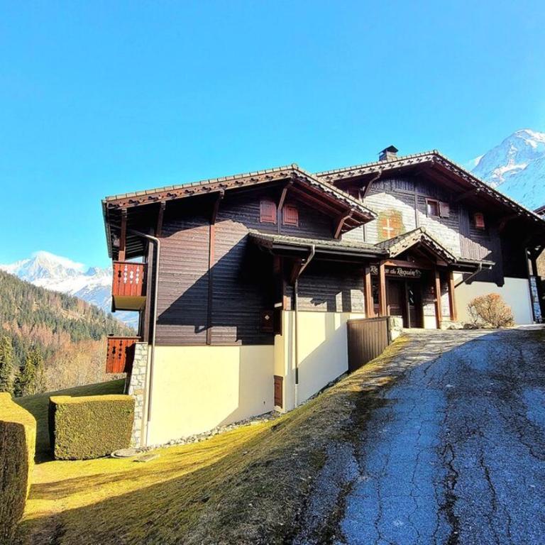 Ski in Ski out MNT Direct piste access - Appartement - 14