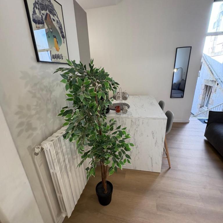 TiBZH, Vannes centre, Entrée privative - Appartement 2 Chambres - 36