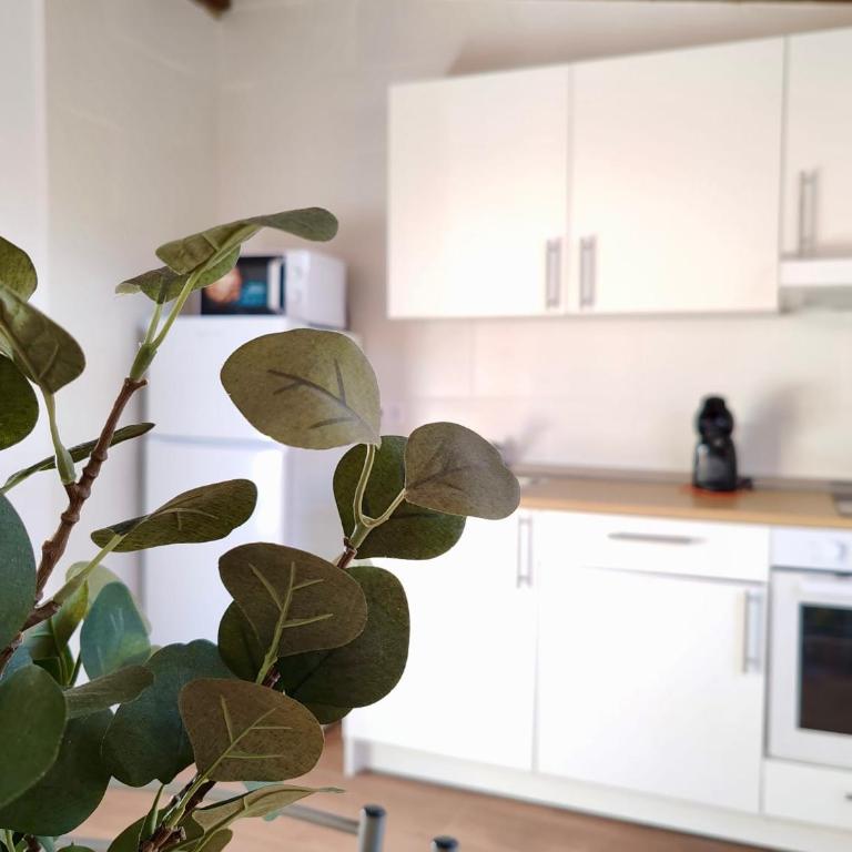 Casa del Gato - Four-Bedroom Vacation Home - 11