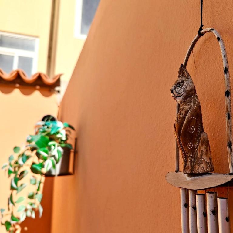 Casa del Gato - Four-Bedroom Vacation Home - 12