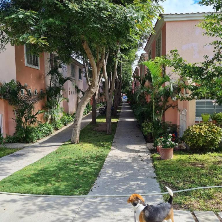 Comfortable New Family House - Three-Bedroom Vacation Home - 23