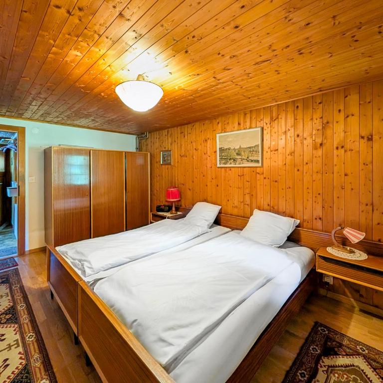 Grand chalet familial avec cheminée aux Diablerets - Chalet - 74