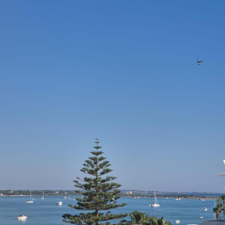 Appartamento Sky Apulia con la vista sul mare - Three-Bedroom Apartment with Sea View - 9