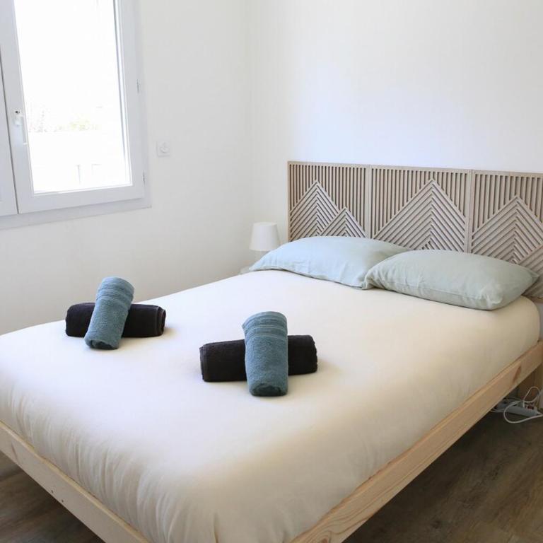 Superbe appartement T2 - Appartement 2 Chambres - 3