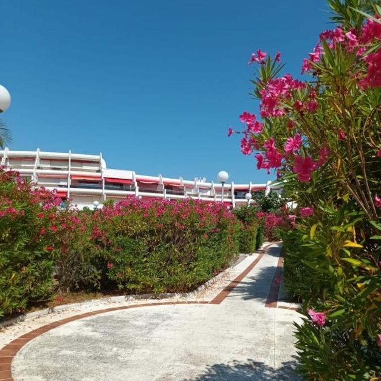 Au Pacific Studio avec jardin à 3 mn des plages - Studio avec Vue sur Jardin - 14