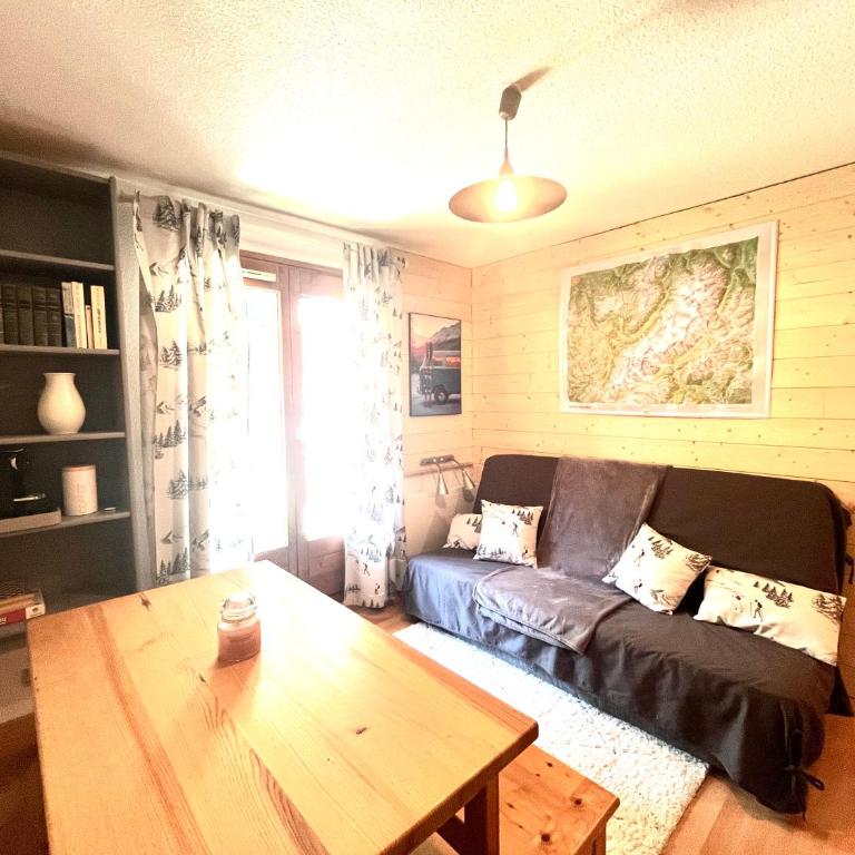 Entre amis-Résidence La Piste Bleue-Ski aux pieds - Appartement 1 Chambre - 13