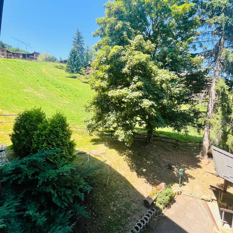 Entre amis-Résidence La Piste Bleue-Ski aux pieds - Appartement 1 Chambre - 29