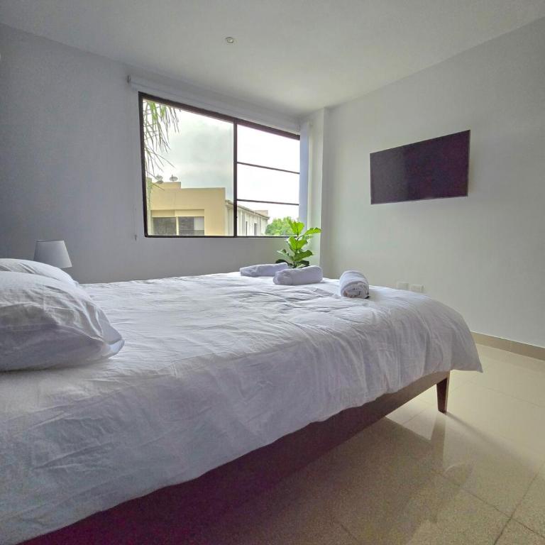 Luminoso, Moderno, Pisicina - Two-Bedroom Apartment - 28