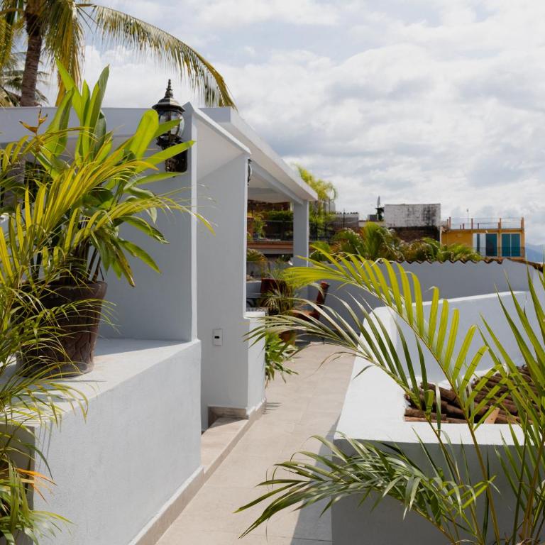 La Palapa 7 - Apartamento de 1 dormitorio - 6