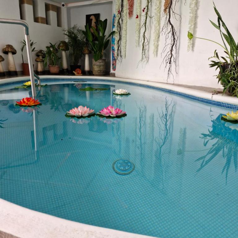La Palapa 7 - Apartamento de 1 dormitorio - 7