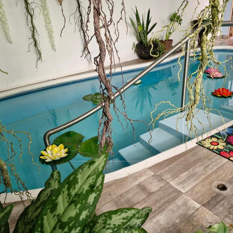 La Palapa 7 - Apartamento de 1 dormitorio - 17
