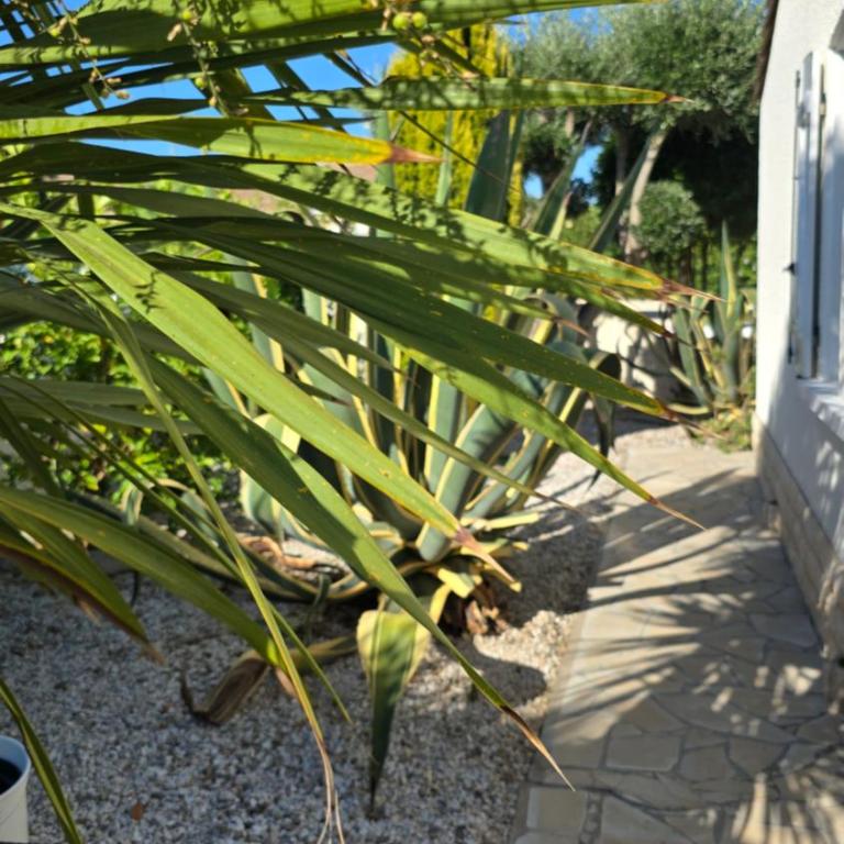 Lieblingshaus mit beheizten Privatpool und Ladesäule - Two-Bedroom House - 32