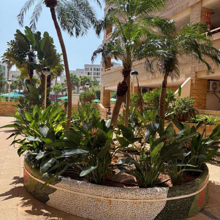 Akimaria Apartment - Apartamento de 2 dormitorios - 15