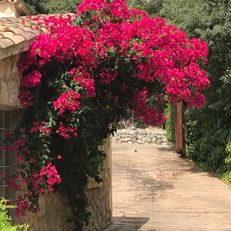 VILLA LLENYATER by MAINVILLAS you home less than 1km from the center of Pollença - Villa Superior - 21