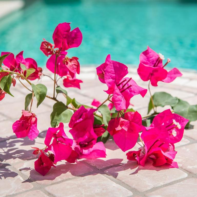 VILLA LLENYATER by MAINVILLAS you home less than 1km from the center of Pollença - Villa Superior - 9