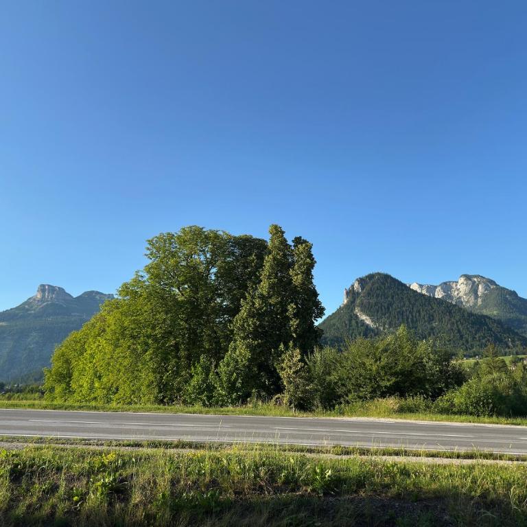 Panoramablick Apartment Bad Aussee - Two-Bedroom Apartment - 21