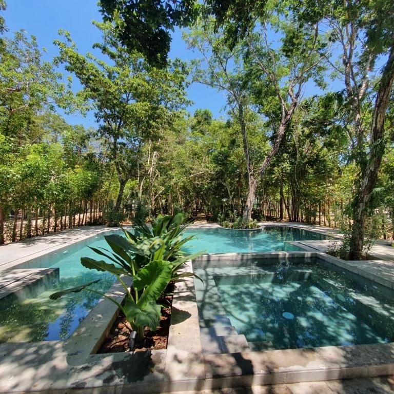 Villa with a private pool - Villa de 3 dormitorios - 9