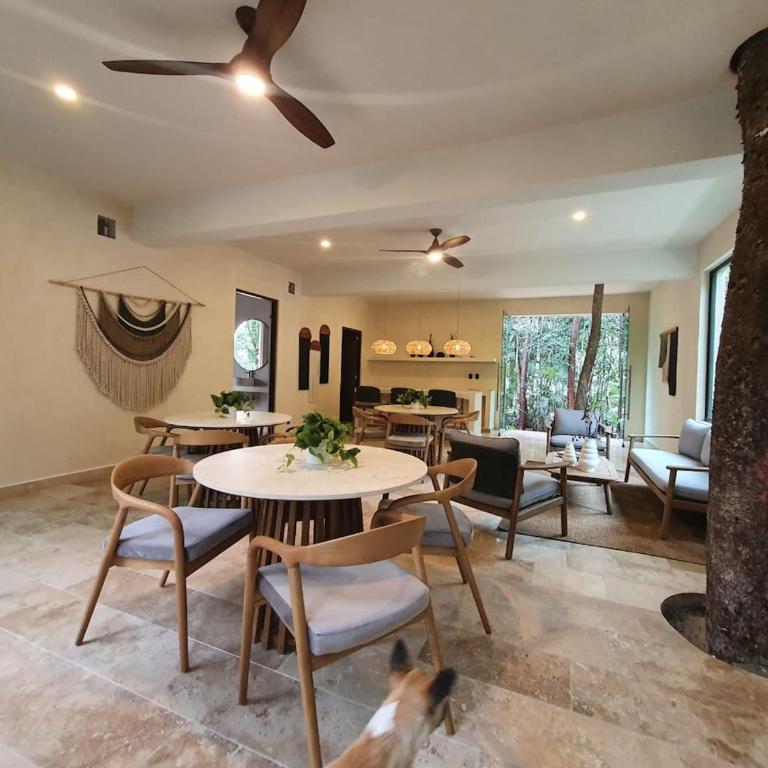 Villa with a private pool - Villa de 3 dormitorios - 16