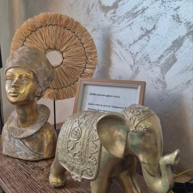 Apartman Tamjanika LUX - Apartman sa 1 Spavaćom Sobom - 5