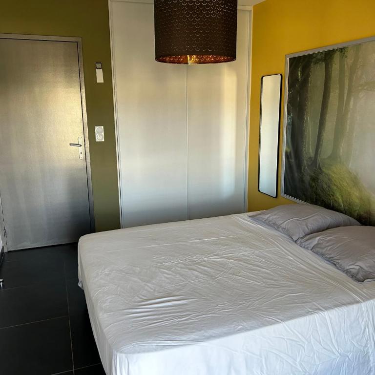 Ajaccio j2 - Appartement 1 Chambre - 4