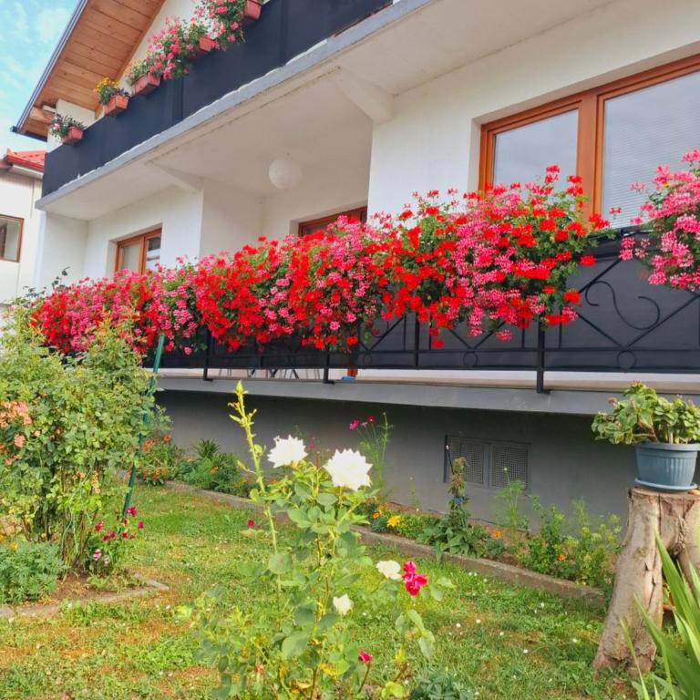Uma - Villa - Beach Front - 1
