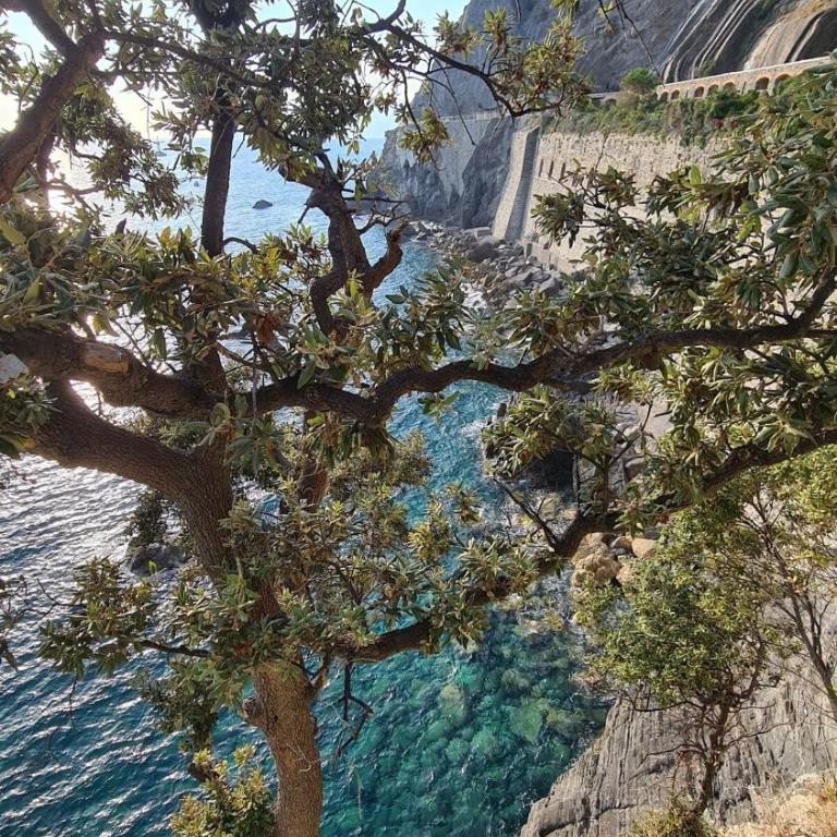 Lo scrigno sul mare Cinque Terre Riomaggiore - One-Bedroom Apartment with Sea View - 24