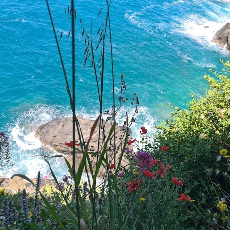 Lo scrigno sul mare Cinque Terre Riomaggiore - One-Bedroom Apartment with Sea View - 29